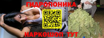 МДПВ Сланцы