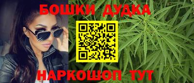 МДПВ Сланцы