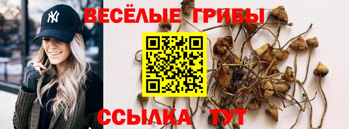Псилоцибиновые грибы Psilocybe  Вход с VPN  Приморско-Ахтарск 